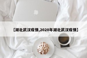 【湖北武汉疫情,2020年湖北武汉疫情】